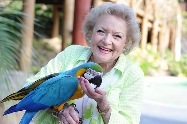 Betty White at the Greater Los Angeles Zoo Association’s (GLAZA) 44th Annual Beastly Ball (Photo: Angela Weiss/Getty Images)