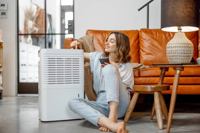 <p>Best dehumidifiers to help keep your home warm and dry</p>