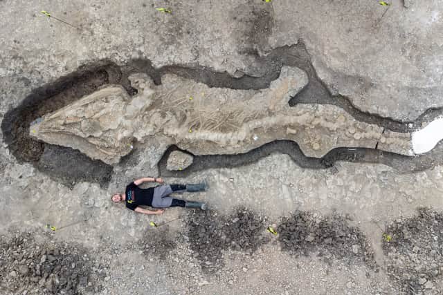 The ichthyosaur fossil is approximately 180 million years old with a skeleton measuring around 10 metres in length and a skull weighing approximately one tonne (Photo: Anglian Water/PA)