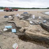 Palaeontologists working on the Ichthyosaur skeleton found at Rutland Nature Reserve (Photo: Anglian Water/PA)