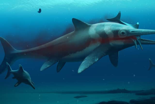 An artist’s impression of an ichthyosaur (Image: Anglian Water/PA)