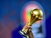 Where is AFCON 2022? Country Africa Cup of Nations is being held, host cities and stadiums