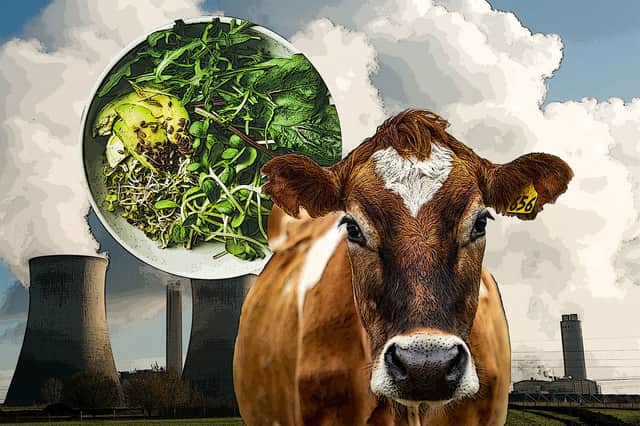 Why do people opt to follow a vegan diet? The environment, animal welfare and health are among the main reasons (image: Mark Hall/Shutterstock)