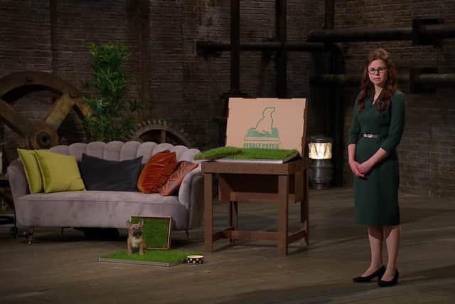 Four out of the five millionaire investors on Dragons’ Den liked the Piddle Patch concept (image: Piddle Patch)