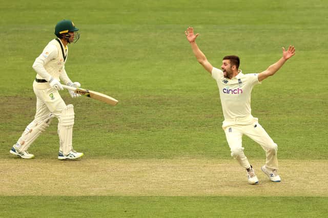 Mark Wood of England appeals unsuccessfully for the wicket of Pat Cummins of Australia during day three of the Fifth Test in the Ashes series between Australia and England at Blundstone Arena on January 16, 2022 in Hobart, Australia