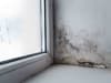 Tenant awarded compensation and apology after being left in mouldy, damp home for 18 months