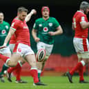 Dan Biggar of Wales clears the ball upfield  during the Guinness Six Nations match between Wales and Ireland at Principality Stadium on February 07, 2021 in Cardiff