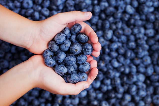 Two handfuls of blueberries count as a portion towards your 5 a day (image: Shutterstock)