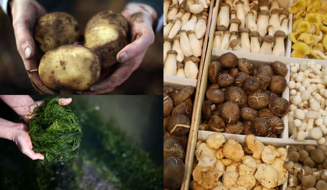 What could we be eating more of in 2022? Here are 6 food trends we could be hearing more of (images: Getty)