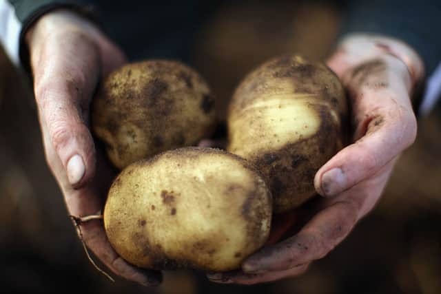 The humble spud is already a key part of the British diet - but it it set to hit supermarkets in liquid form (image: Getty Images)