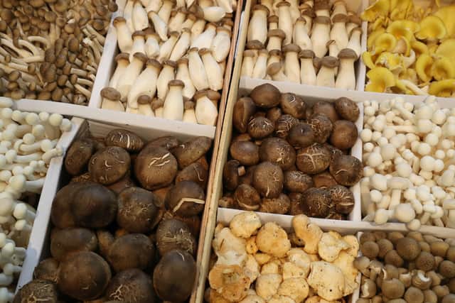 Chopping up different varieties of mushroom and reducing them to a powder can add intense flavour to dishes (image: Getty Images)