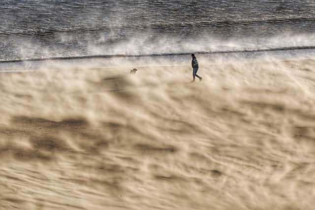 A dog walker on a windy Tynemouth beach on the North East coast as gusts of up to 90mph battered northern areas of the UK (image: PA)