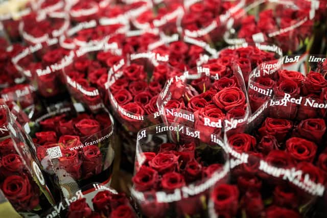 Roses are a classic Valentine’s Day flower (Photo: Jack Taylor/Getty Images)