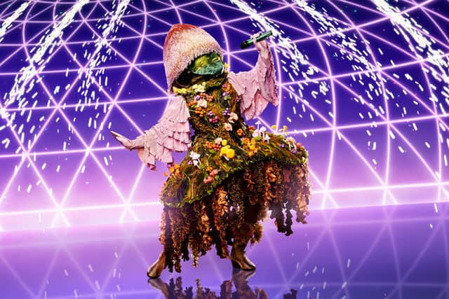 Mushroom was the first contestant to perform during the series (Photo: ITV)