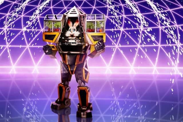 Some have speculated that Robobunny could be two people, based on the size and height of the costume (Photo: ITV)