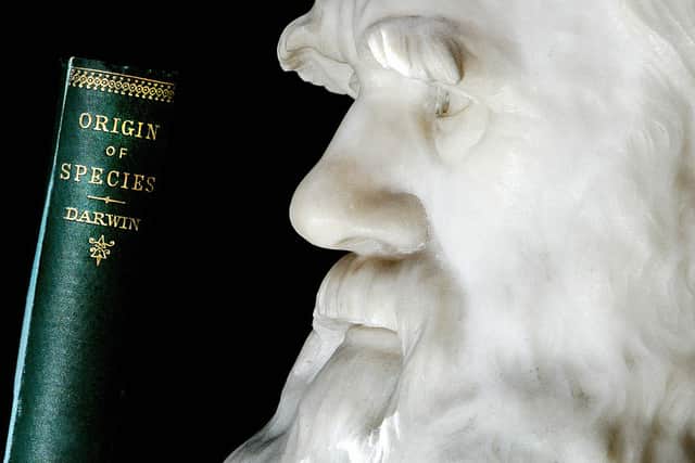 A copy of Darwin’s book the Origin of Species is pictured in front of a life size stone bust of Charles Darwin at London’s Natural History Museum (Photo: SHAUN CURRY/AFP via Getty Images)