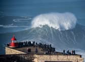 Rogue waves are not necessarily the tallest on record but instead dwarf the waves around them (image: AFP/Getty Images)