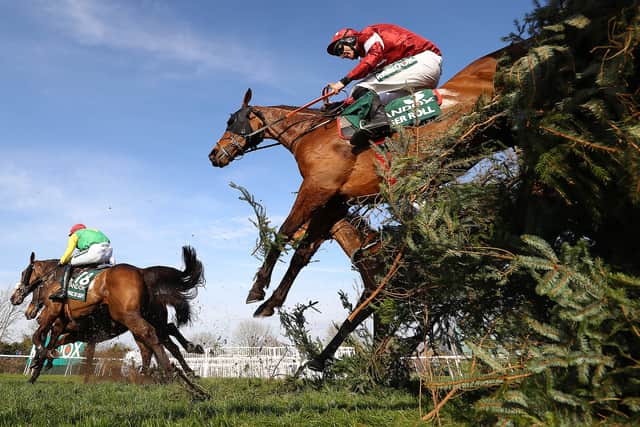 Tiger Roll won the Grand National in 2018 and 2019
