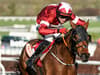 Why is Tiger Roll missing from the Grand National? Thoroughbred Racehorse weight explained
