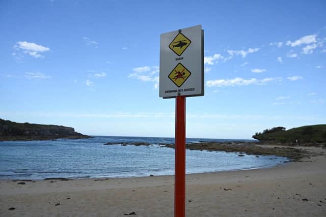 A public order notice near the site the attack warning swimmers against entering into the water (Photo: MUHAMMAD FAROOQ/AFP via Getty Images)