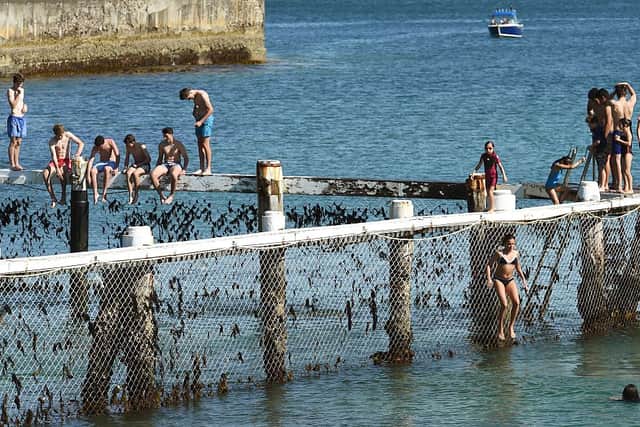 Children playing on a shark net at Little Manly Cove (Photo: WILLIAM WEST/AFP via Getty Images)
