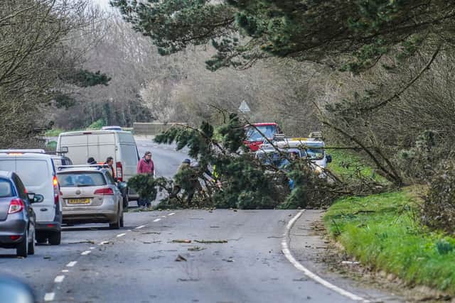 Council workers and members of the public attempt to clear a fallen tree from the road (Photo: Hugh Hastings/Getty Images)