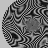 The optical illusion has led to people giving different answers on social media. (Credit: @benonwine/Twitter)