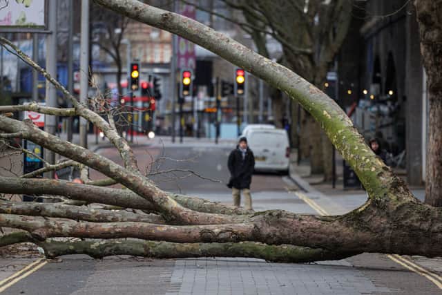 Home insurance almost always covers storm damage - but with important caveats (image: Getty Images)