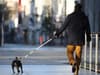 Dog owners face £1,000 fine for walking pets with long leads near roads and cycle paths 