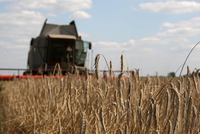Russia and Ukraine are two of the world’s biggest wheat producers (image: AFP/Getty Images)