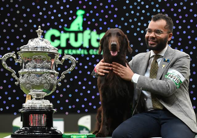 Best in Show 2022 Winner Baxer and Owner Patrick Oware. Photo by OLI SCARFF/AFP via Getty Images) 