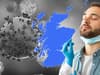 Covid re-infection rates in Scotland 2.5 times higher than England