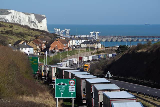 Lorries queue along the A20 for the Port of Dover as P&O Ferries suspended sailings (Photo: PA)