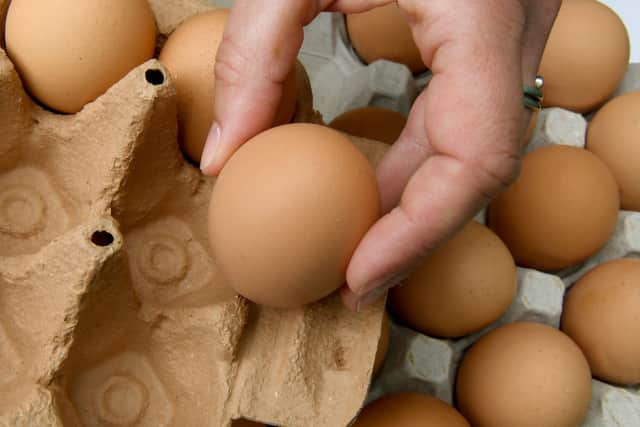 Free range eggs are a key source of food in the UK (image: AFP/Getty Images)