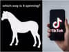 What is the spinning horse optical illusion? Why the video has gone viral and left TikTok viewers baffled 