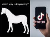 A viral video on TikTok of a spinning horse has left viewers baffled, with differing opinions on which way it is turning (TikTok and Getty Images)