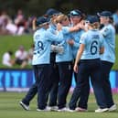 England celebrate a wicket in World Cup match against Pakistan