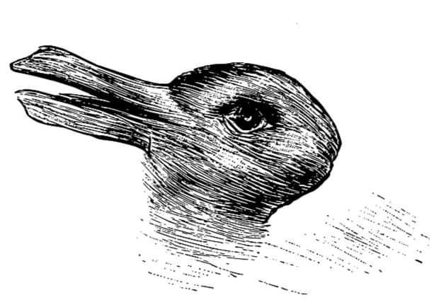 Do you see a rabbit, a duck or both? (Image: Wikimedia Commons)
