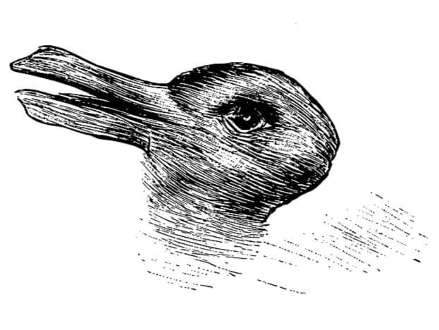 Do you see a rabbit, a duck or both? (Image: Wikimedia Commons)