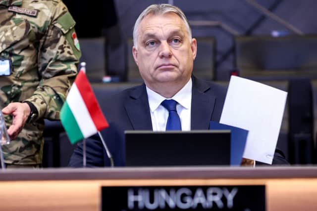 Viktor Orban has been a central figure of Hungarian politics for more than 30 years (image: AFP/Getty Images)
