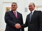 Viktor Orban and Vladimir Putin have close ties (image: AFP/Getty Images)