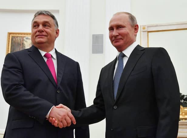 <p>Viktor Orban and Vladimir Putin have close ties (image: AFP/Getty Images)</p>