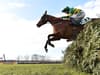 Grand National 2022 day 1 runners, riders, horses, racecard, schedule, odds and betting details 