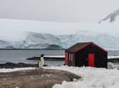 A charity is looking for a team of people to run the world’s most remote post office, which can be found in Port Lockroy bay in Antarctica, for five months.