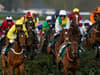 Which horses died after Grand National 2022? How many have died since Aintree event - what’s been said so far