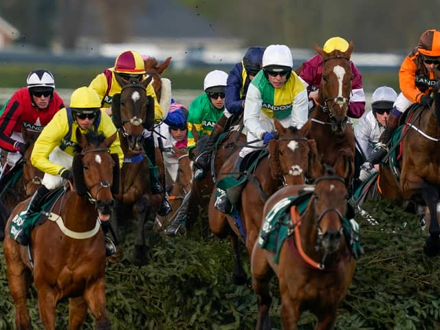 Noble Yeats leads the way in steeplechase 2022. 