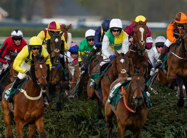 <p>Noble Yeats leads the way in steeplechase 2022. </p>