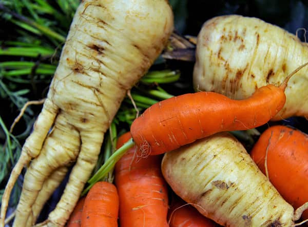 One of the UK’s major supermarket chains is selling vegetables for 1p a pack to help those struggling with the cost of living crisis (Getty Images)