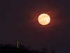 When is the next full moon? Date of pink full moon in April 2022 - and meaning explained