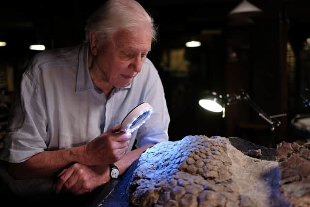 Sir David Attenborough looking at fossilised Triceratops skin through a magnifying glass (Credit: Jon Sayer/BBC Studios)